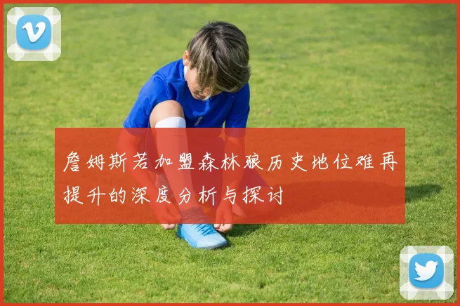 詹姆斯若加盟森林狼历史地位难再提升的深度分析与探讨