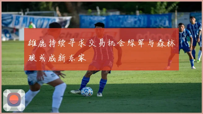 雄鹿持续寻求交易机会绿军与森林狼或成新东家