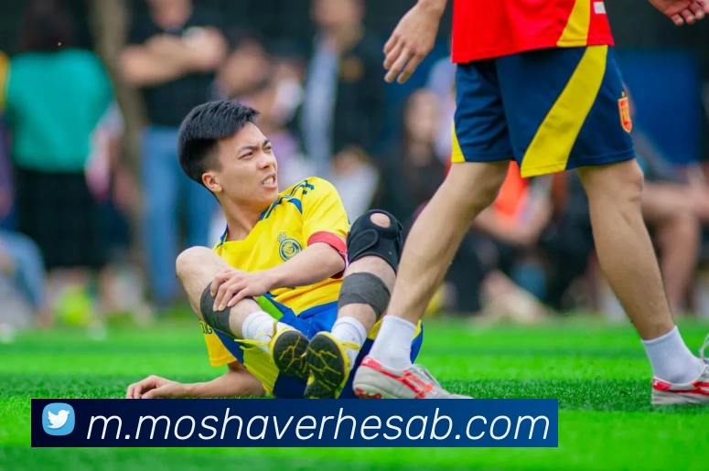 mksports体育平台生态图